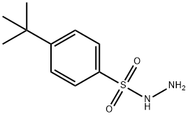 4-TERT-BUTYLBENZENESULFONOHYDRAZIDE Struktur