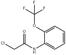 2-chloro-N-[2-(trifluoromethoxy)phenyl]acetamide Struktur