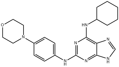 REVERSINE Struktur