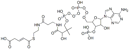 4-[2-[3-[[4-[[[5-(6-aminopurin-9-yl)-4-hydroxy-3-phosphonooxy-oxolan-2-yl]methoxy-hydroxy-phosphoryl]oxy-hydroxy-phosphoryl]oxy-2-hydroxy-3,3-dimethyl-butanoyl]amino]propanoylamino]ethylsulfanylcarbonyl]but-3-enoic acid Struktur