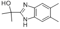 2-(5,6-DIMETHYL-1H-BENZOIMIDAZOL-2-YL)-PROPAN-2-OL|2-(5,6-二甲基-1H-苯并[D]咪唑-2-基)丙-2-醇