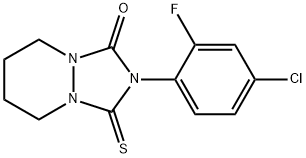 1H-(1,2,4)Triazolo(1,2-a)pyridazin-1-one, 2-(4-chloro-2-fluorophenyl)h exahydro-3-thioxo- Struktur