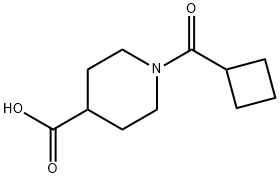 1-(cyclobutylcarbonyl)piperidine-4-carboxylic acid price.