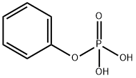 PHENYLPHOSPHORIC ACID