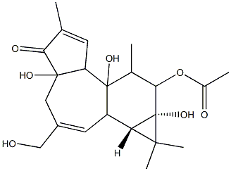 PHORBOL 12-MONOACETATE, 4BETA