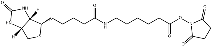 72040-63-2 Structure