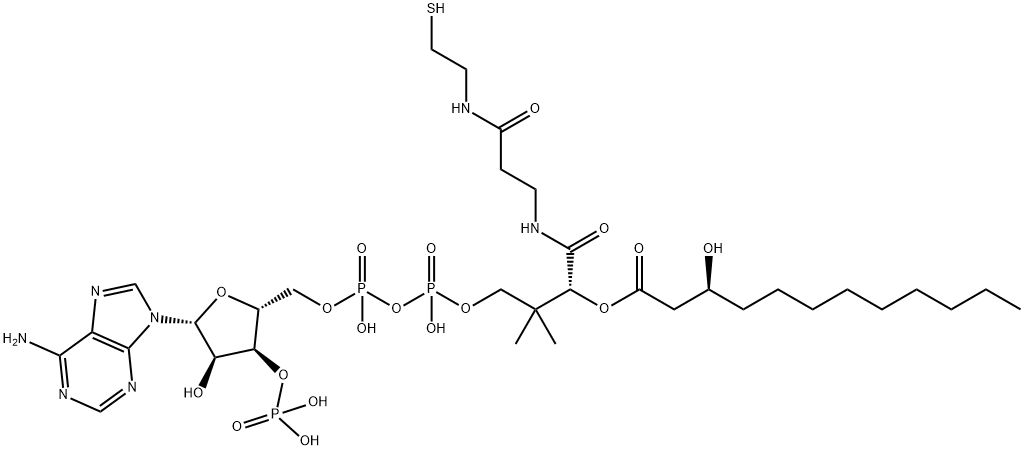 [(2R,3R,4R,5R)-5-(6-aminopurin-9-yl)-4-hydroxy-2-[[hydroxy-[hydroxy-[3-hydroxy-3-[2-[2-[(3S)-3-hydroxydodecanoyl]sulfanylethylcarbamoyl]ethylcarbamoyl]-2,2-dimethyl-propoxy]phosphoryl]oxy-phosphoryl]oxymethyl]oxolan-3-yl]oxyphosphonic acid Struktur