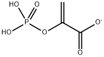 2-(phosphonooxy)acrylate  Struktur