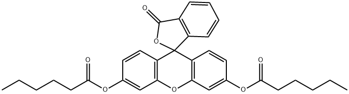 7364-90-1 結(jié)構(gòu)式