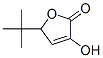 2(5H)-Furanone, 5-(1,1-dimethylethyl)-3-hydroxy- (9CI) Struktur