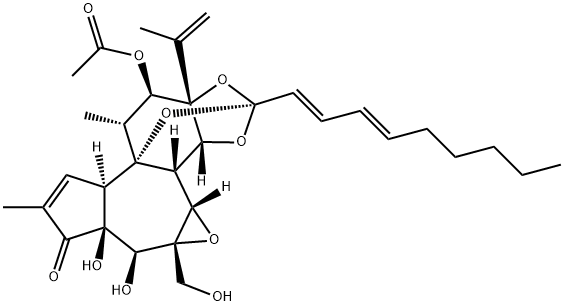 yuanhuadine Struktur