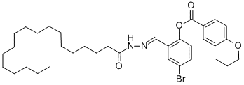 SALOR-INT L403350-1EA Struktur