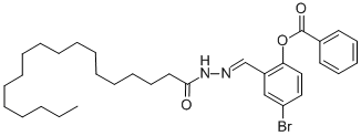 SALOR-INT L402273-1EA Struktur