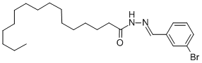 SALOR-INT L486590-1EA Struktur