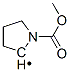 2-Pyrrolidinyl, 1-(methoxycarbonyl)- (9CI) Struktur