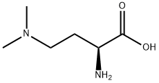 Butanoic acid, 2-amino-4-(dimethylamino)-, (S)- (9CI) Struktur