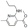 3-Pyridinecarboxylicacid,6-methyl-2-(propylamino)-,methylester(9CI) Struktur