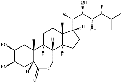 22S,23S-EPIBRASSINOLIDE Struktur