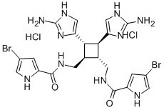 79703-25-6 Structure