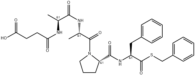 CARBOXYPEPTIDASE B