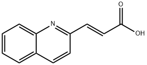 3-QUINOLIN-2-YL-ACRYLIC ACID