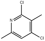 2,4-DICHLORO-3,6-DIMETHYLPYRIDINE Struktur