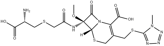 CEFMINOX Struktur