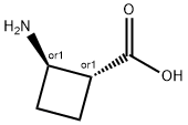 trans-2-Aminocyclobutane-1-carboxylic acid Struktur