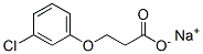 sodium 3-(3-chlorophenoxy)propionate Struktur