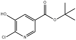 TERT-BUTYL 6-CHLORO-5-HYDROXYNICOTINATE Struktur