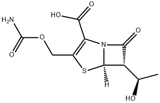 Ritipenem