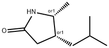 2-PYRROLIDINONE, 5-METHYL-4-(2-METHYLPROPYL)-, (4S,5S)-REL- Struktur