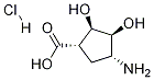 (1S,2R,3S,4R)-4-aMino-2,3-dihydroxycyclopentanecarboxylic acid hydrochloride Struktur