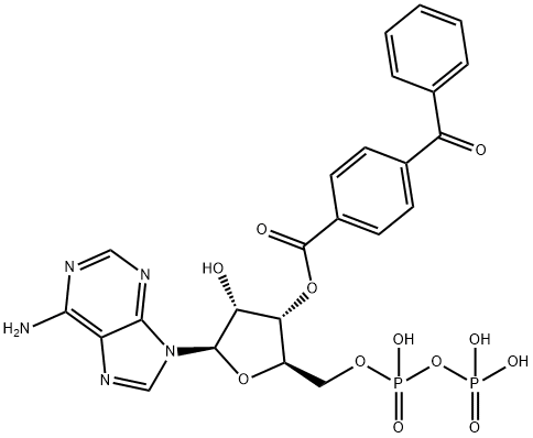 3'-O-(4-benzoyl)benzoyladenosine diphosphate Struktur