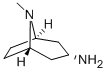 endo-3-Aminotropane Struktur