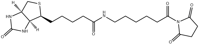 1H-Thieno[3,4-d]iMidazole-4-pentanaMide, N-[6-(2,5-dioxo-1-pyrrolidinyl)-6-oxohexyl]hexahydro-2-oxo-, (3aS,4S,6aR)- Struktur