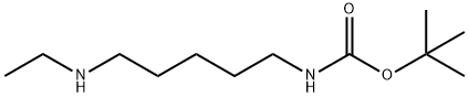 TERT-BUTYL 5-(ETHYLAMINO)PENTYLCARBAMATE Struktur