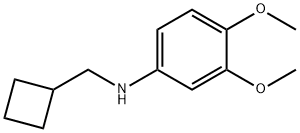 CYCLOBUTYLMETHYL-(3,4-DIMETHOXY-PHENYL)-AMINE Struktur