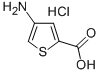 2-Thiophenecarboxylic acid, 4-amino-, hydrochloride Struktur