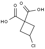 3-chlorocyclobutane-1,1-dicarboxylic acid Struktur