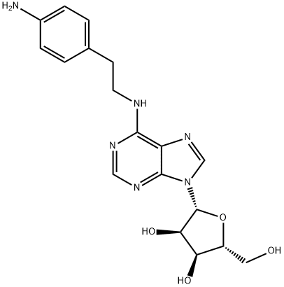 N6-2-(4-AMINOPHENYL)ETHYL-ADENOSINE Struktur