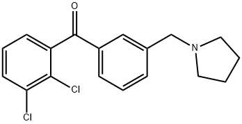 2,3-DICHLORO-3'-PYRROLIDINOMETHYL BENZOPHENONE price.