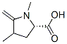 Proline, 1,4-dimethyl-5-methylene- (7CI) Struktur