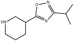 3-[3-(1-methylethyl)-1,2,4-oxadiazol-5-yl]piperidine Struktur