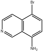 5-???-8-ISOQUINOLINEAMINE