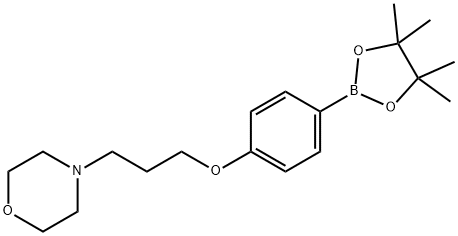 4-(3-(4-(4,4,5,5-tetramethyl-1,3,2-dioxaborolan-2-yl)phenoxy)propyl)morpholine price.