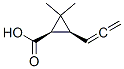 Cyclopropanecarboxylic acid, 2,2-dimethyl-3-(1,2-propadienyl)-, (1R-cis)- (9CI) Struktur