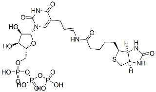 5-(N-biotinyl-3-aminoallyl)uridine 5'-triphosphate Struktur