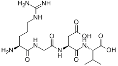 RGDV Struktur