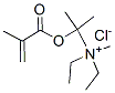 diethylmethyl[[1-methyl-1-(2-methyl-1-oxoallyl)oxy]ethyl]ammonium chloride Struktur